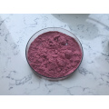 Hot Selling Red Raspberry Fruit Juice Powder